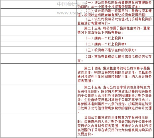 财务报表模板_合并财务报表 收入(2)