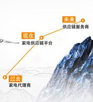 集团战略转型中CFO的影响与价值之五星控股篇-罗中孝