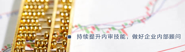 内部审计实战技巧