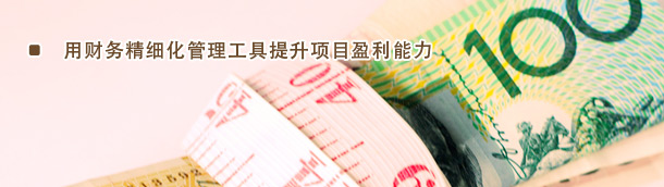 项目预算与成本管控实务